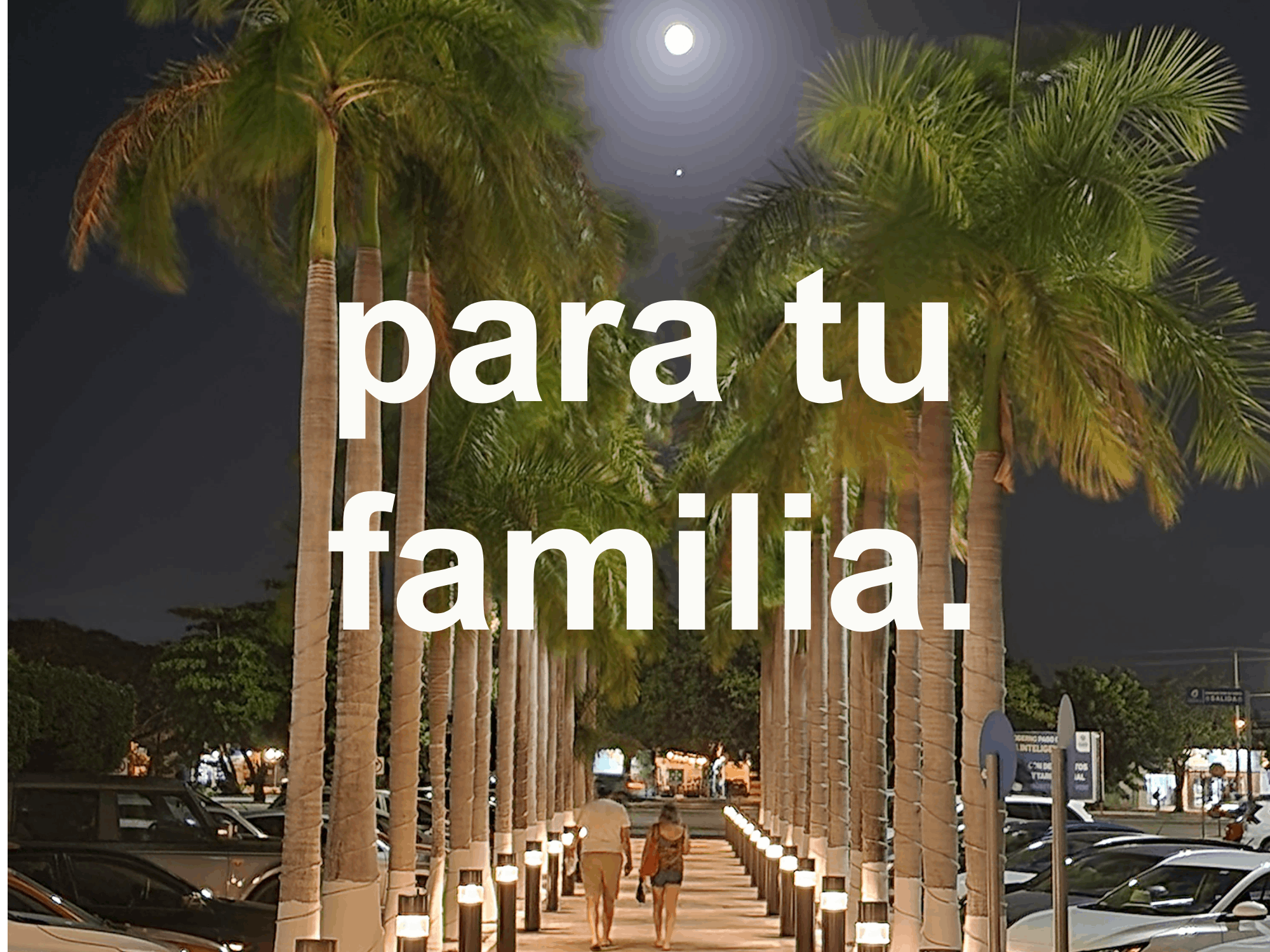 la-ciudad-mas-bella-de-mexico-es-merida